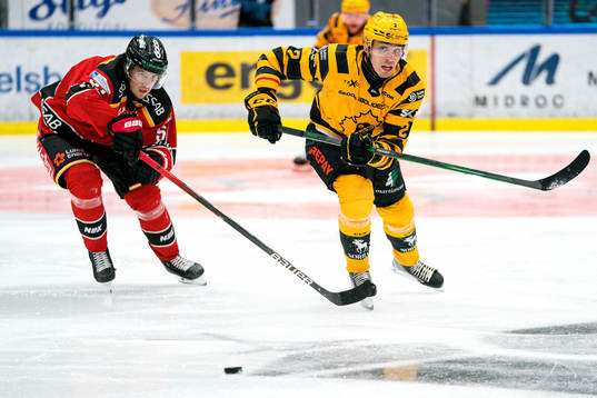 Luleås Filip Hållander och Skellefteås Adam Wilsby