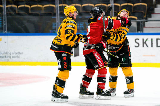 Luleås Chris Desousa och Skellefteås Andreas Wingerli och