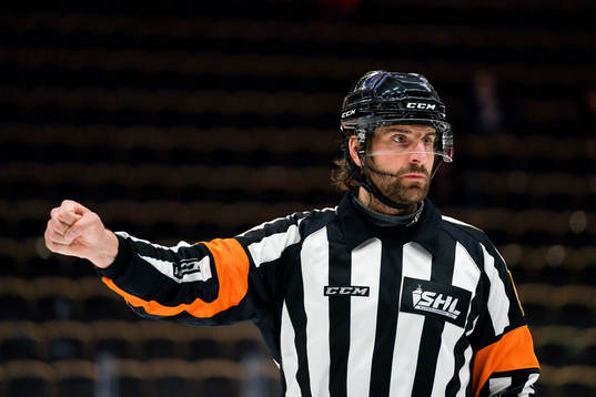 Domare Mikael Sjöqvist