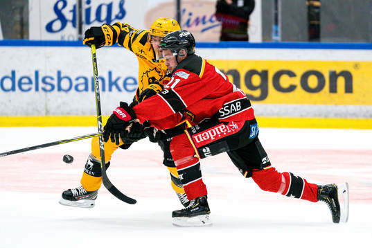 Skellefteås Andreas Wingerli och Luleås Juhani Tyrväinen