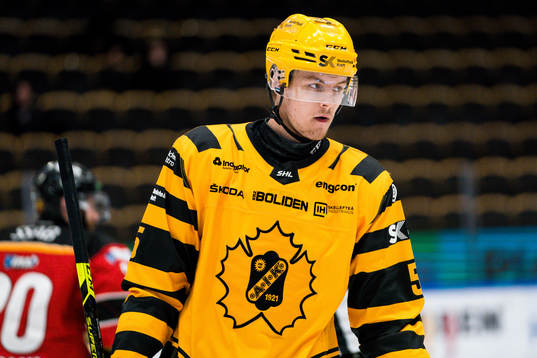 Skellefteås Philip Broberg deppar