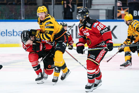 Skellefteås Pär Lindholm och Luleås Erik Gustafsson