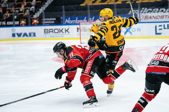 Luleås Juhani Tyrväinen och Skellefteås Andreas Wingerli