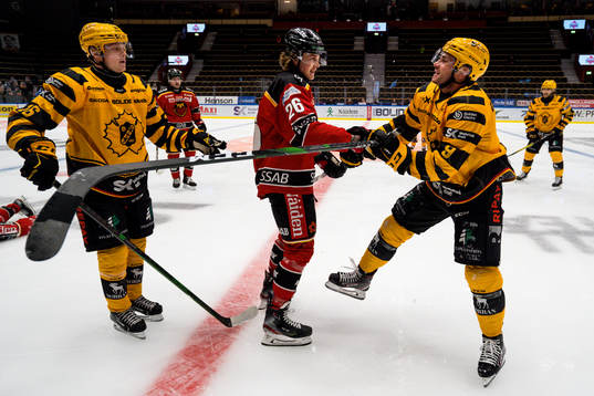 Luleås Radek Muzik och Skellefteås Darren Nowick