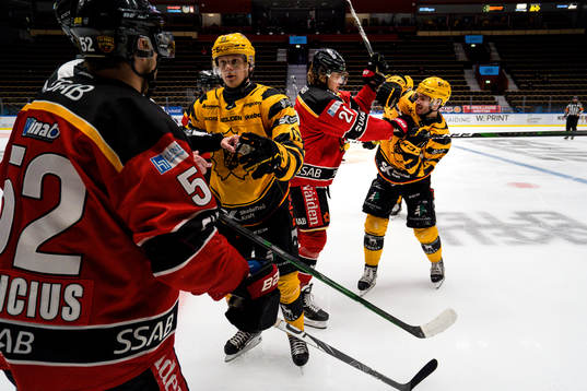 Luleås Karl Fabricius och Radek Muzik
