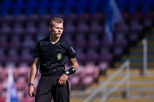 Domare Fredrik Alknäs