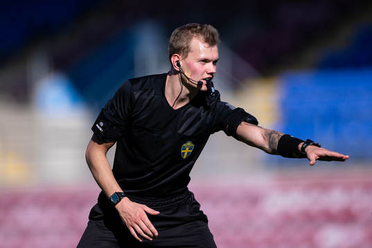 Domare Fredrik Alknäs