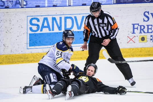 s Eric Martinsson och Brynäs Greg Scott