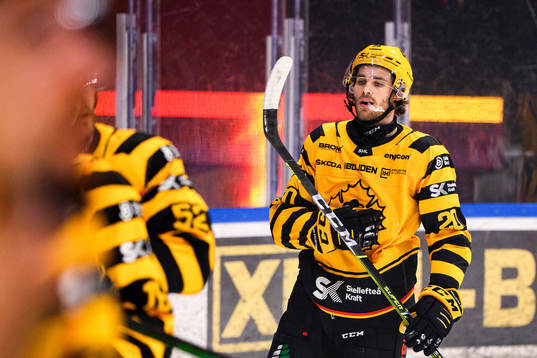 Skellefteås Roland McKeown deppar