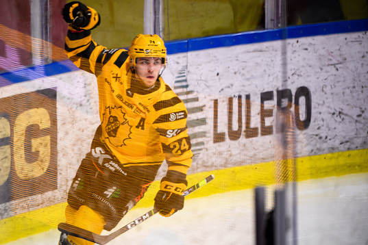 Skellefteås Andreas Wingerli jublar
