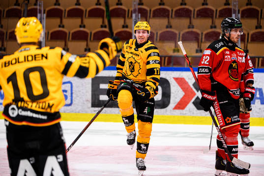 Bläddra bland fler bilder av Ishockey, SHL, Kvartsfinal 6, Luleå - Skellefteå