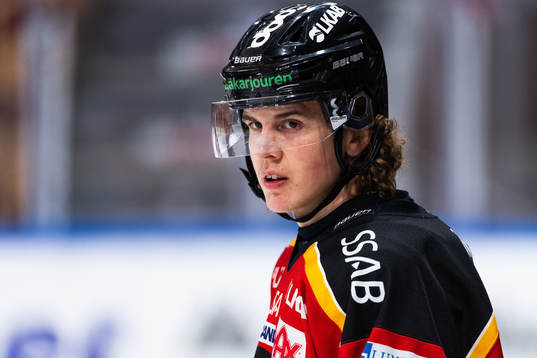 Luleås Radek Muzik