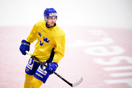 William Eklund
