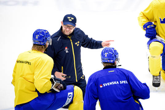 Sveriges målvaktstränare Ladhe Stefan