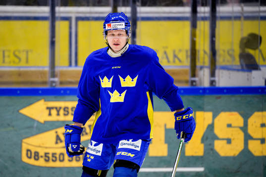 Daniel Viksten
