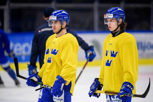 Michael Lindqvist och Albert Johansson