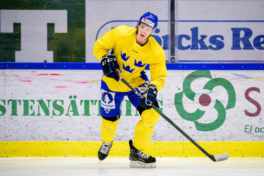 Emil Sylvegård