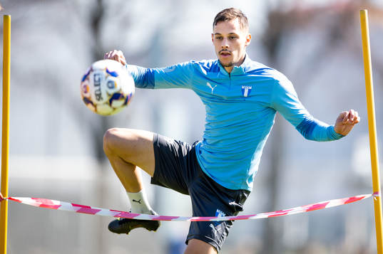 Veljko Birmancevic