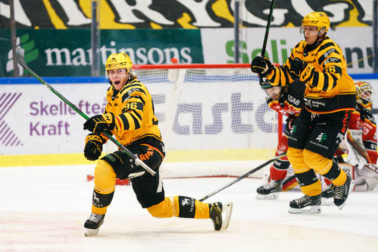 Skellefteås Rickard Hugg jublar