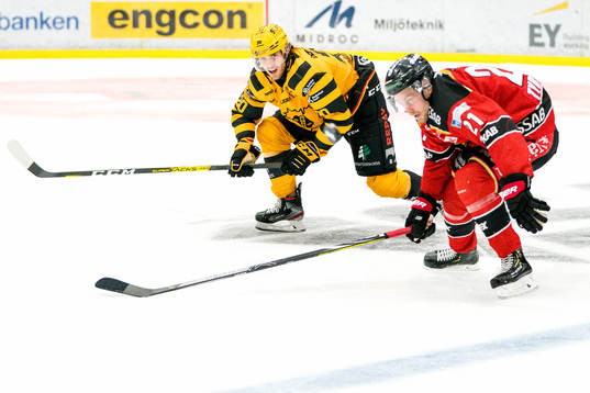 Skellefteås Roland McKeown