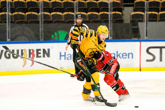 Skellefteås Rickard Hugg