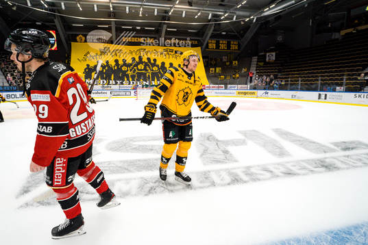 Luleås Erik Gustafsson deppar och Skellefteås Pär
