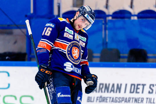 Växjös Brendan Gaunce deppar
