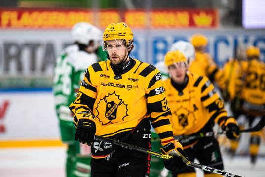 Skellefteås Arvid Lundberg deppar