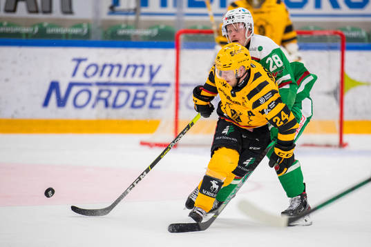 Skellefteås Andreas Wingerli och Rögles Anton Bengtsson