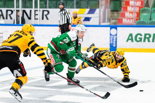 Rögles Anton Bengtsson och Skellefteås Arvid Lundberg