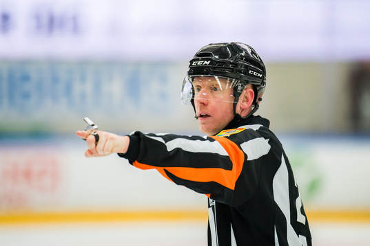 Domare Mikael Holm