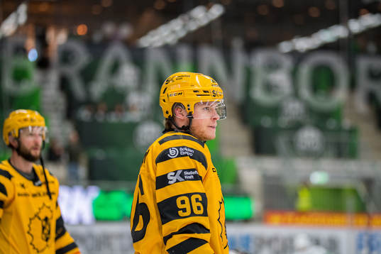 Skellefteås Rickard Hugg