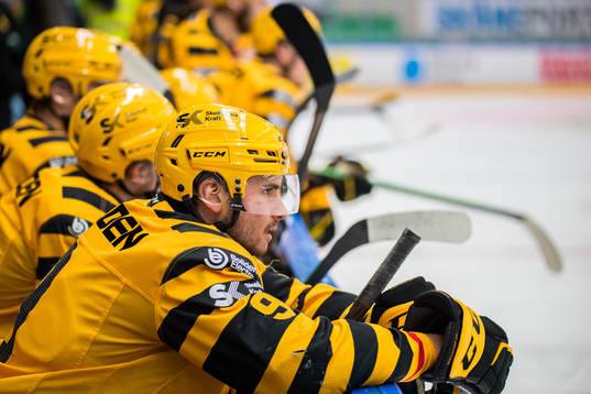 Skellefteås Darren Nowick deppar