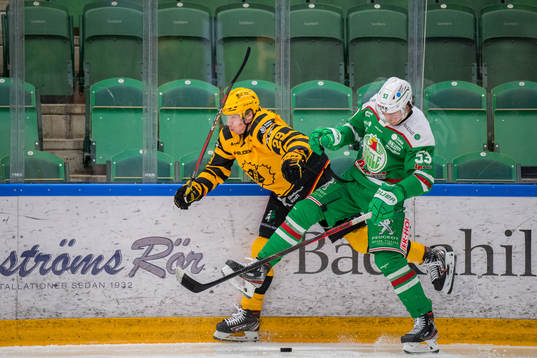 Skellefteås Albin Sundsvik och Rögles Moritz Seider