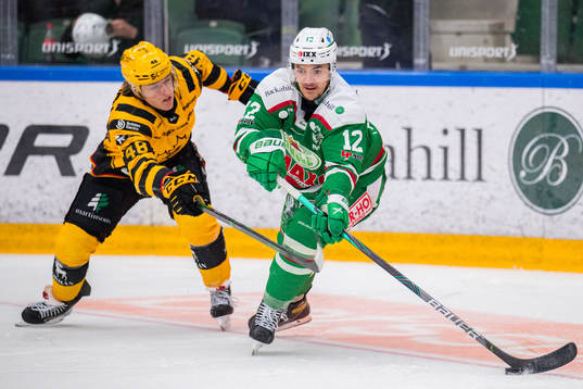 Skellefteås Jonatan Berggren och Rögles Brady Ferguson