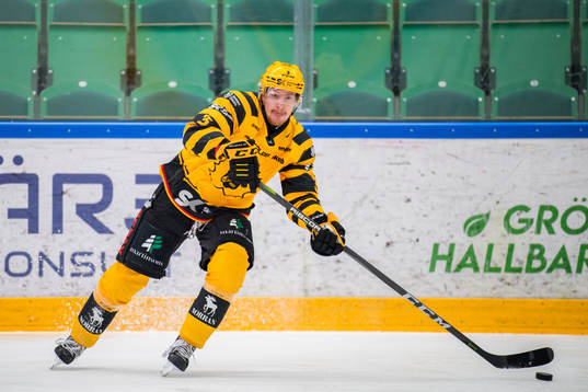Skellefteås Niclas Burström