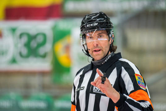 Domare Mikael Sjöqvist