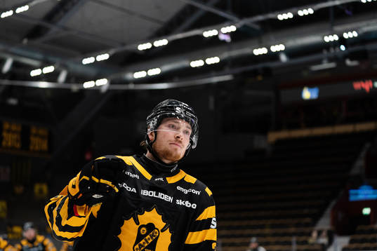 Bläddra bland fler bilder av Ishockey, SHL, Semifinal 3, Skellefteå - Rögle