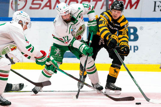 Rögles Taylor Matson och Skellefteås Linus Lindström