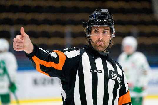Domare Mikael Sjöqvist ger tummen upp