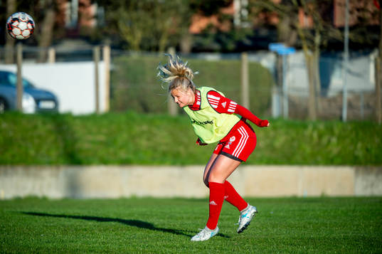 Spelarna