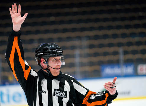 Domare Mikael Holm
