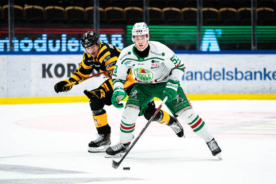 Bläddra bland fler bilder av Ishockey, SHL, Semifinal 4, Skellefteå - Rögle