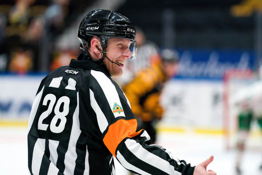Domare Mikael Holm