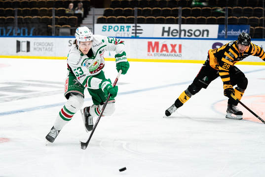 Rögles Moritz Seider och Skellefteås Albin Sundsvik