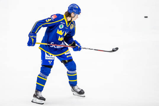 Sveriges Alberg Johansson
