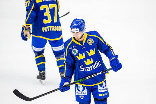 Sveriges Michael Lindqvist
