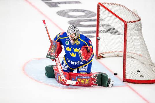 Sveriges målvakt Niklas Rubin