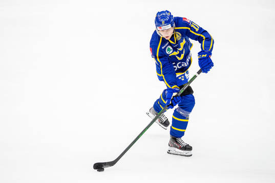 Sveriges Daniel Viksten