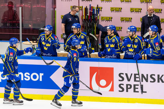 Sveriges Daniel Viksten och Alberg Johansson jublar
